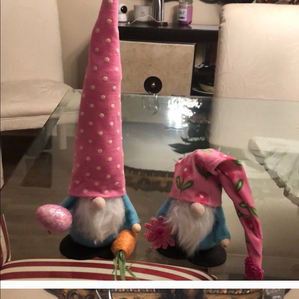 Eastern Gnome